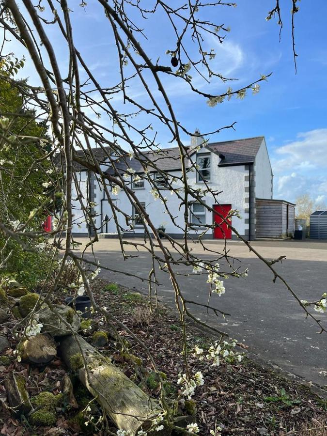 Willow House Bed & Breakfast And Orchard Studios Self Catering Limavady Exterior photo
